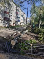 В Трубчевском районе устраняют последствия урагана