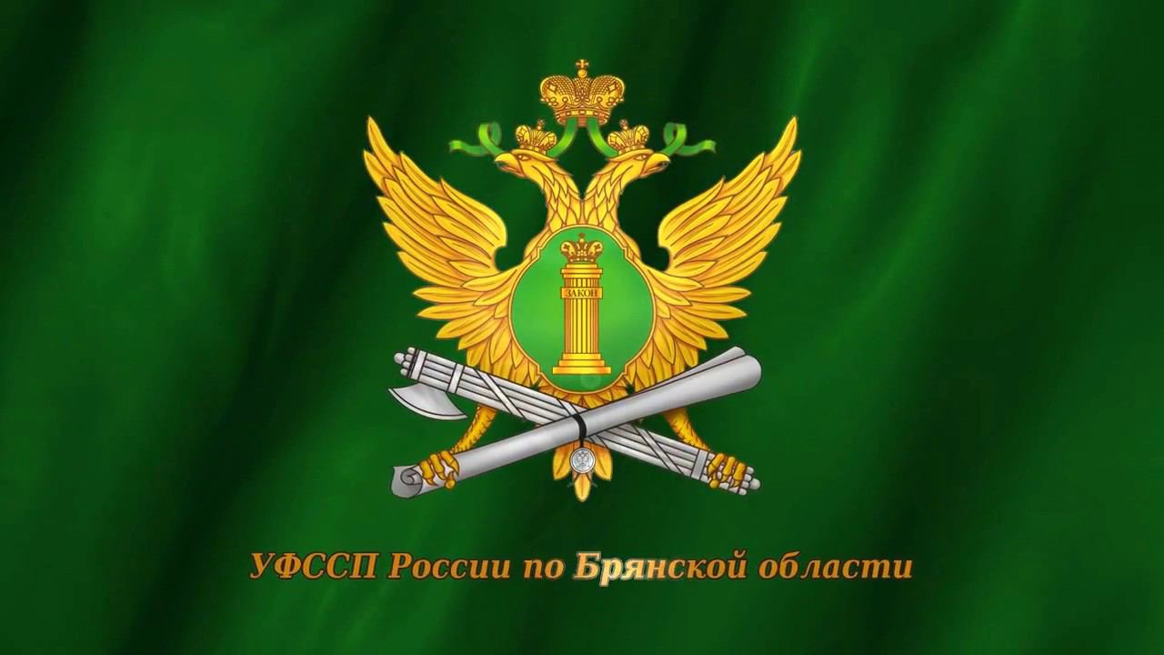 Трубчанам рассказади как через Госуслуги  проверить, нет ли у вас задолженности и запретов на пересечение границы и выезда за пределы РФ