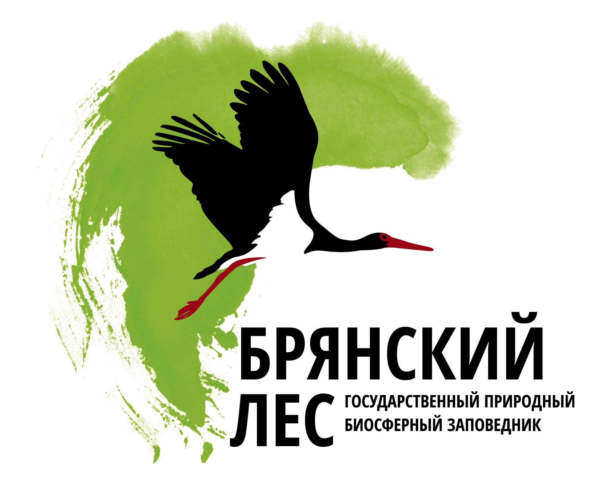 Трубчанам рассказали о чудесах «Брянского леса»