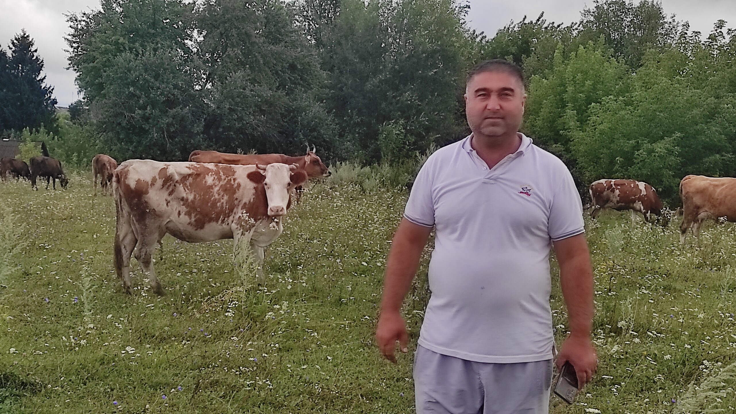 «Молочные реки» трубчевского фермера Фозилова