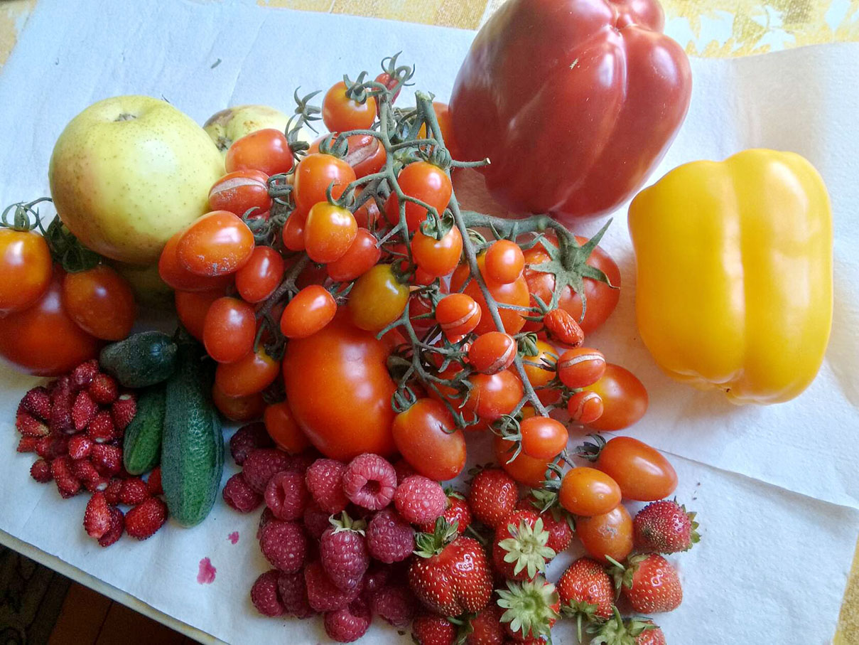 В Трубчевском районе начинают работать ярмарки выходного дня (0+)