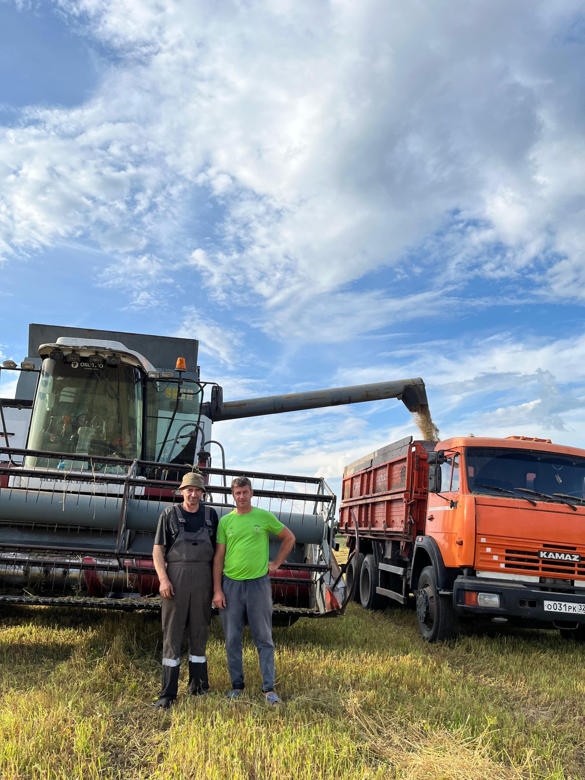 С трубчевских полей –  в закрома родины