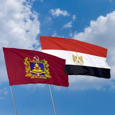 Компании из Египта посетят Брянск с деловым визитом