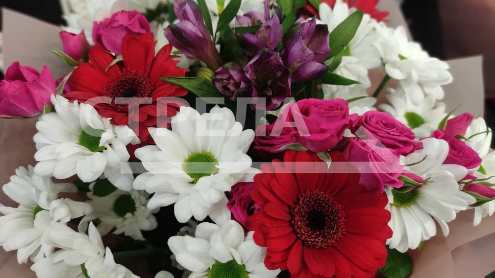 Брянщину признали лучшей в реализации программы «Пушкинская карта»