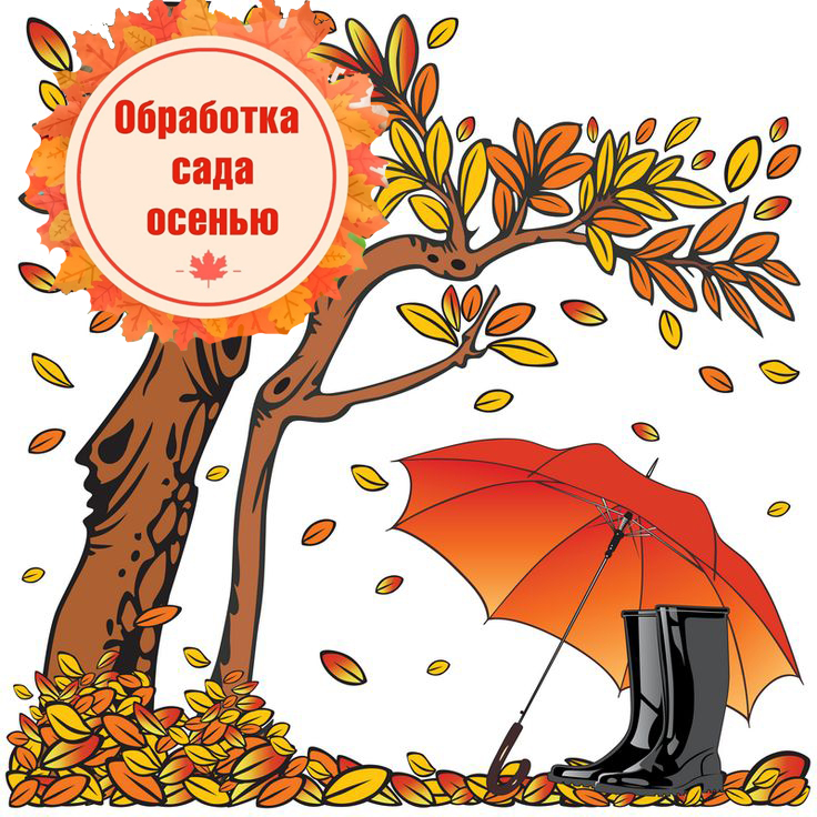 Трубчанам рассказали об осенней обработке сада