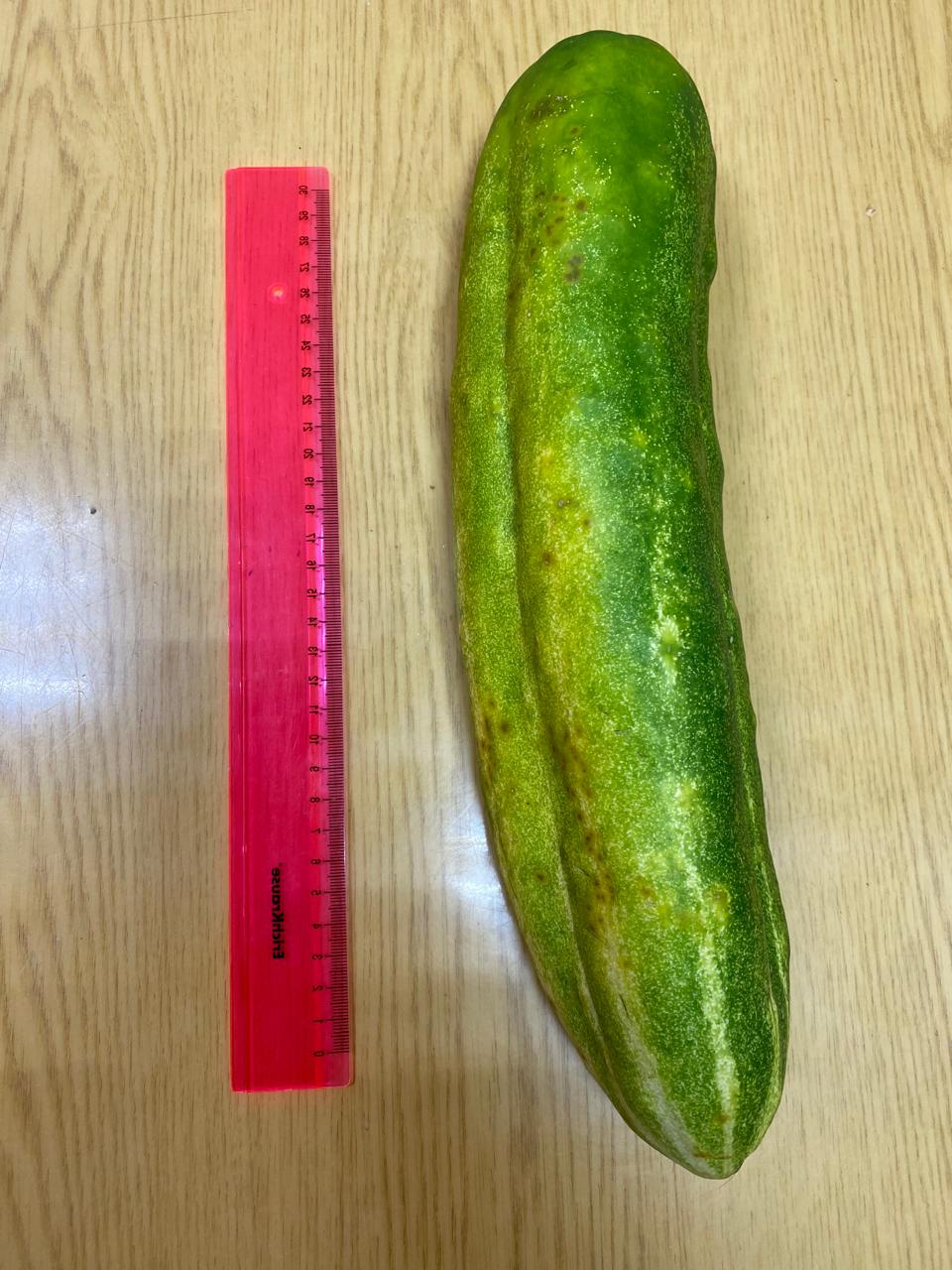 Трубчанка рассказала об осенней шутке осени, преподнесшей ей неожиданный подарок