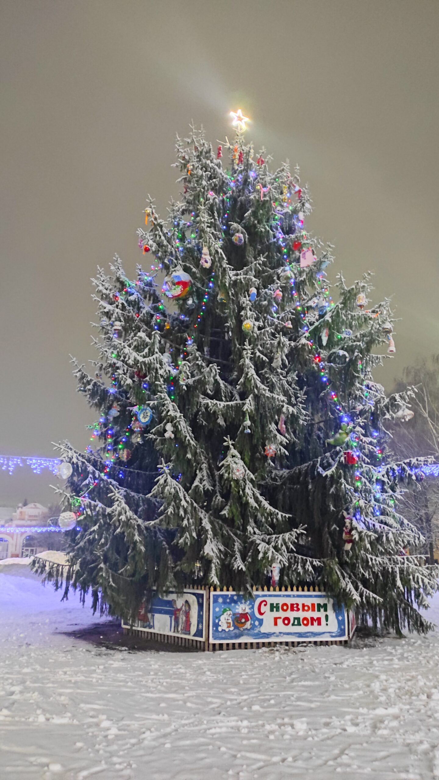 Трубчанам предлагают принять участие в районной новогодней акции  (5+)