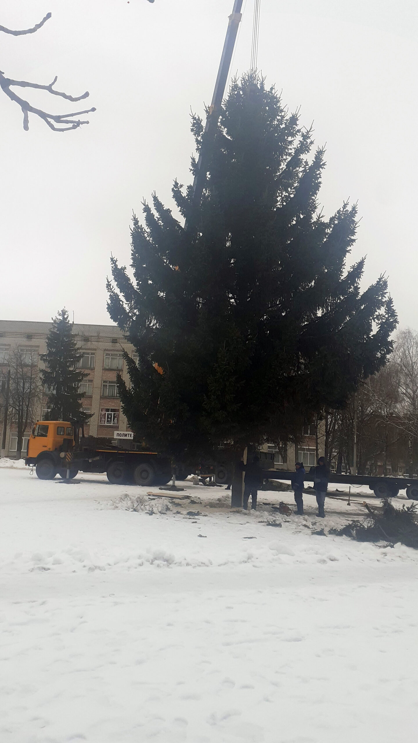 В Трубчевске установили главную новогоднюю елку района
