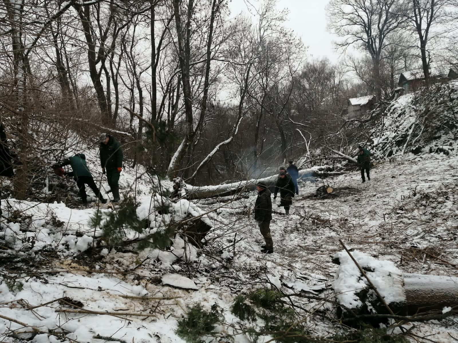 Акция по благоустройству Трубчевского парка им. М. Горького продолжается