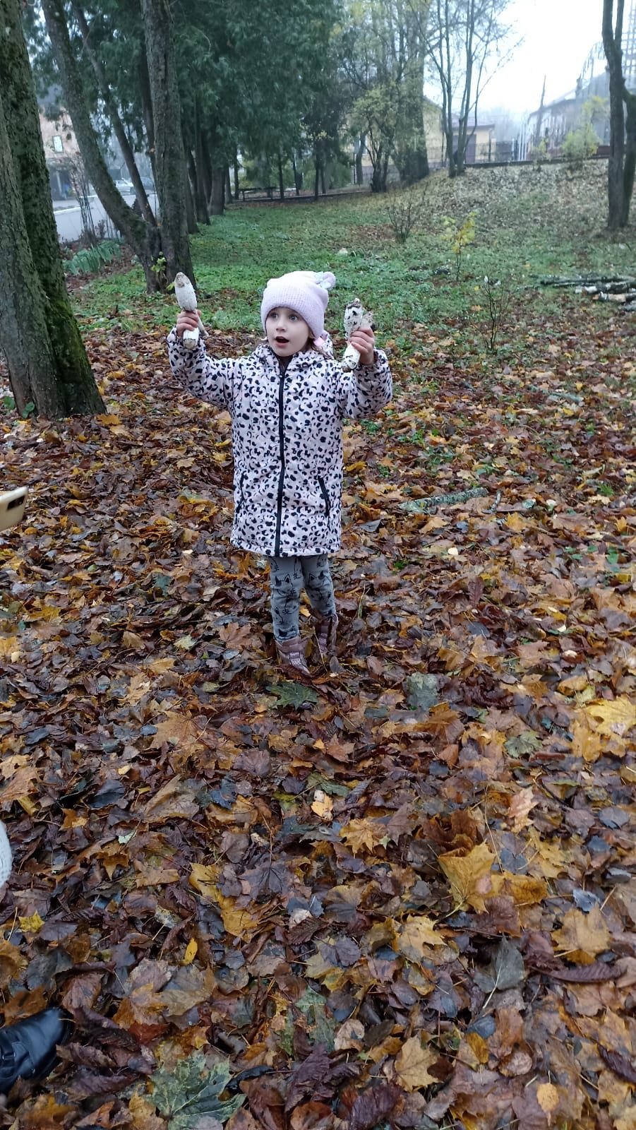 Трубчане стали участниками акции «Осенний подарок!