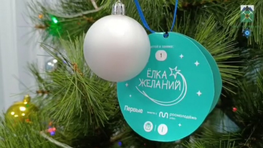 Жители Брянщины выполнили новогодние желания детей луганской Брянки