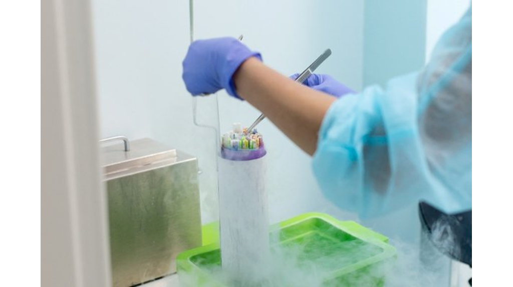 На Брянщине по нацпроекту программ ЭКО станет больше