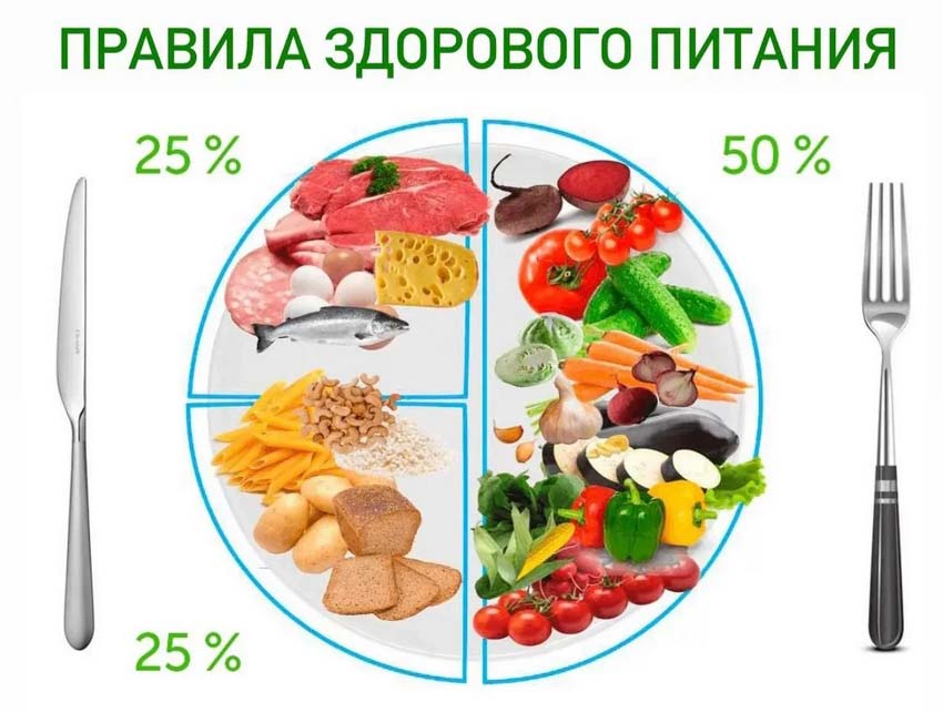 Трубчанам рассказали о правилах здорового питания