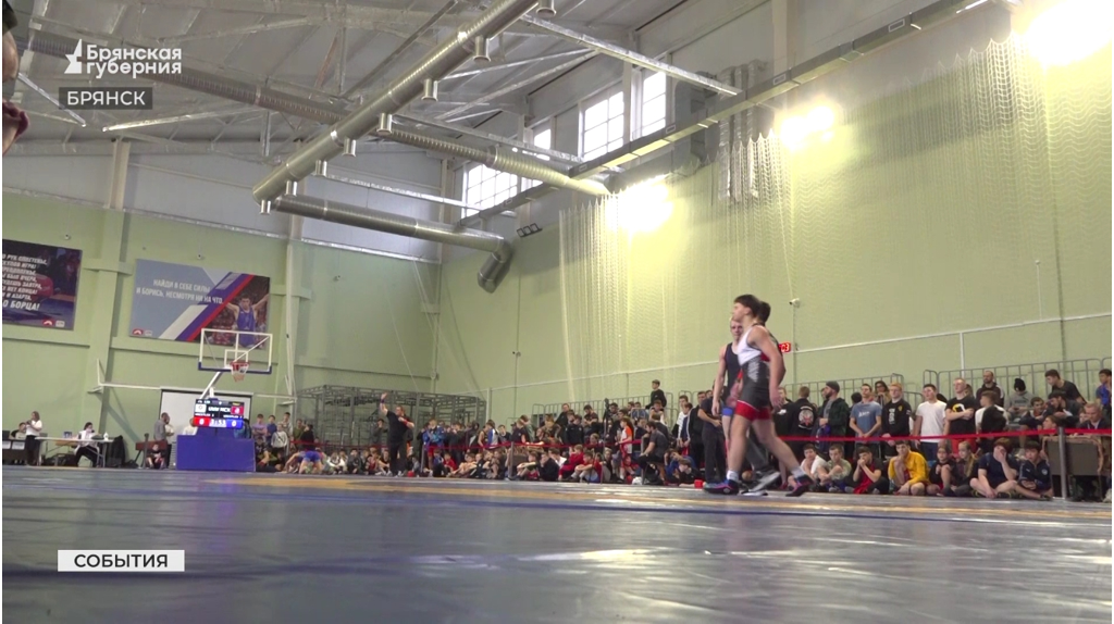 В Брянске прошли соревнования по вольной борьбе в честь героя СВО Дмитрия Седнева