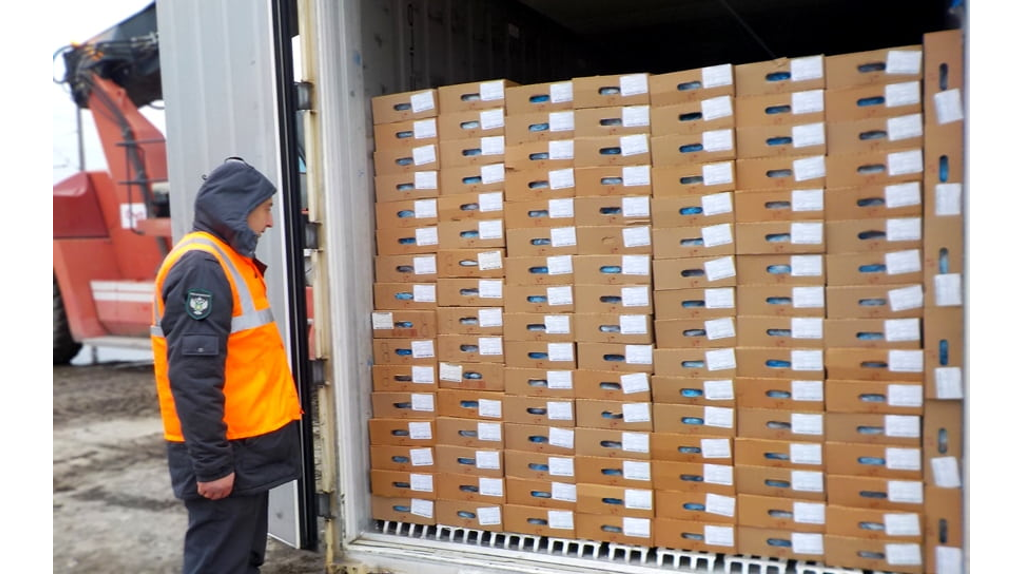 За два месяца Брянская область экспортировала 15 тысяч тонн животноводческой продукции