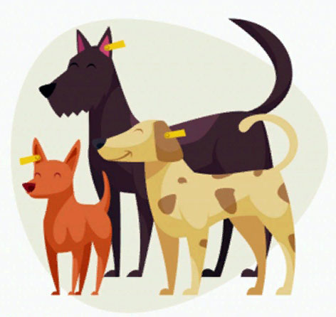 Жителей Трубчевского района – владельцев собак – предупреждают о проведении отлова безнадзорных животных