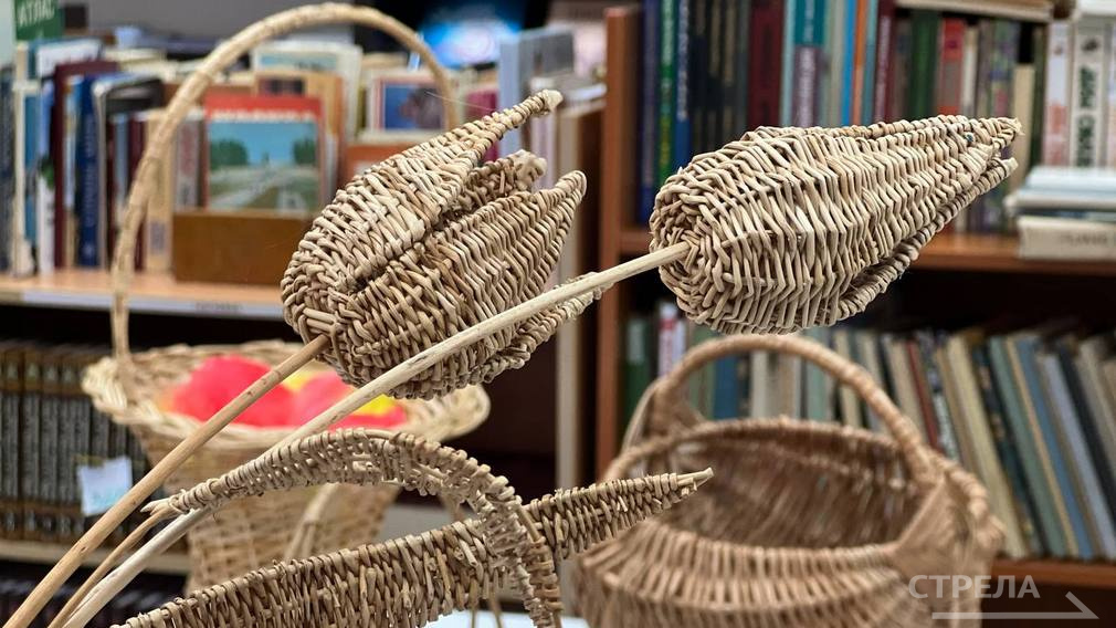 В «Брянсккниге» прошел мастер-класс по лозоплетению