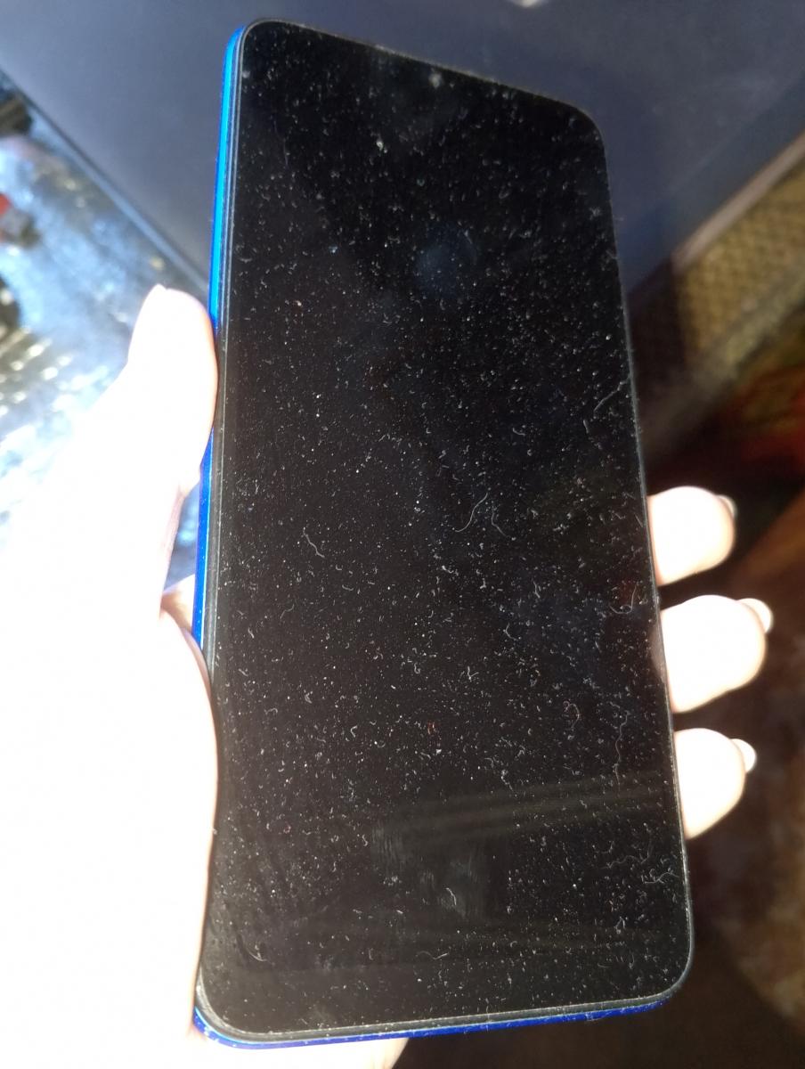 В Брянске писали «Тотальный диктант-2025»