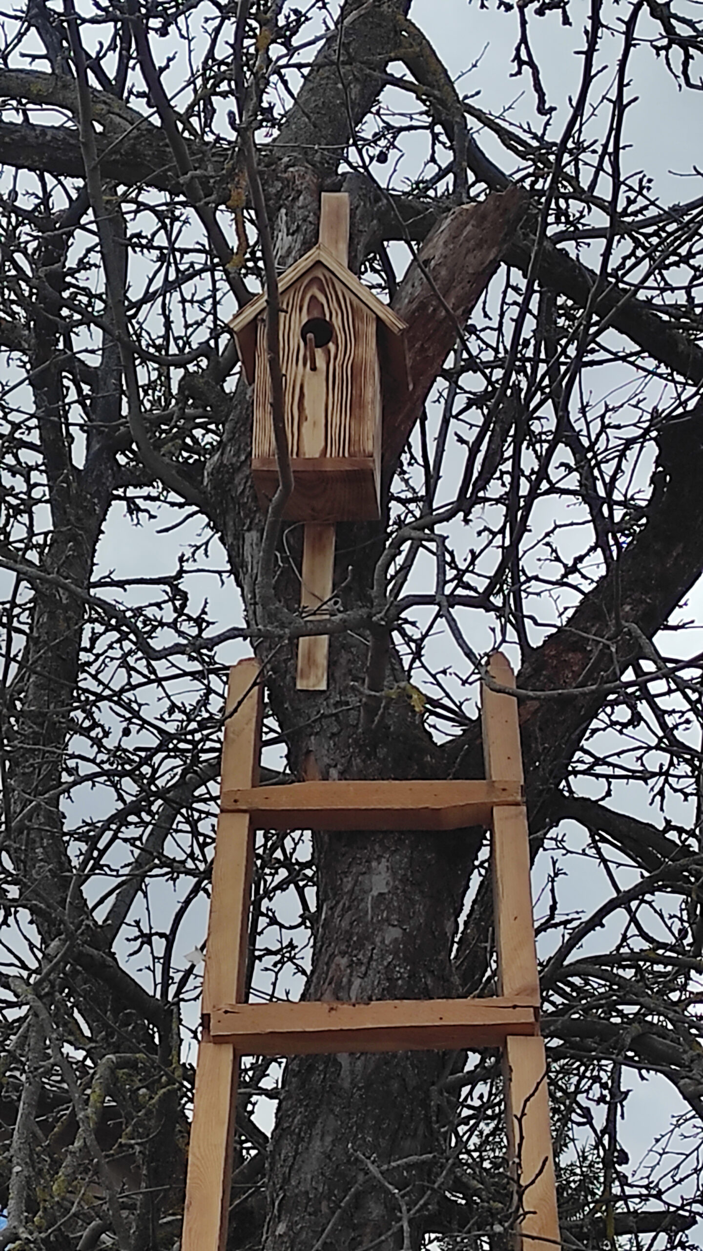 Трубчане, а вы уже установили скворечник?
