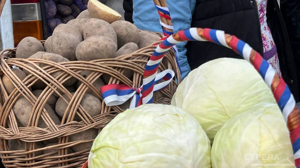 В областном центре Брянщины открылась сельскохозяйственная ярмарка