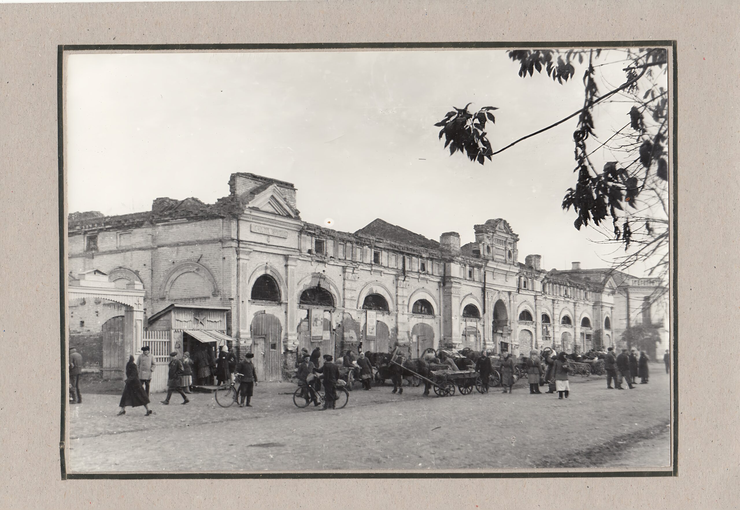 По ту сторону войны