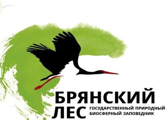 Заповеднику «Брянский лес»- 38!