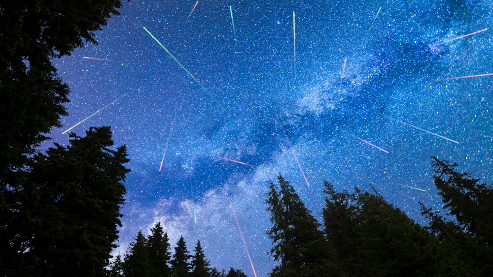 Жители Трубчевского района могут наблюдать за Персеидами