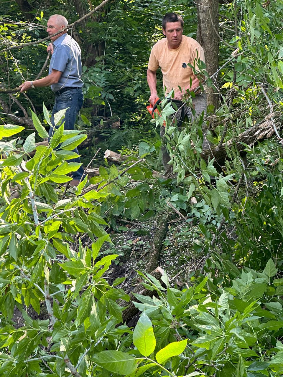 В трубчевском парке продолжается проект «8 сантиметров»