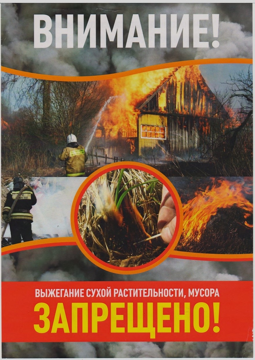 Трубчанам напоминают о запрете выжигания сухой травы и мусора в пожароопасный период