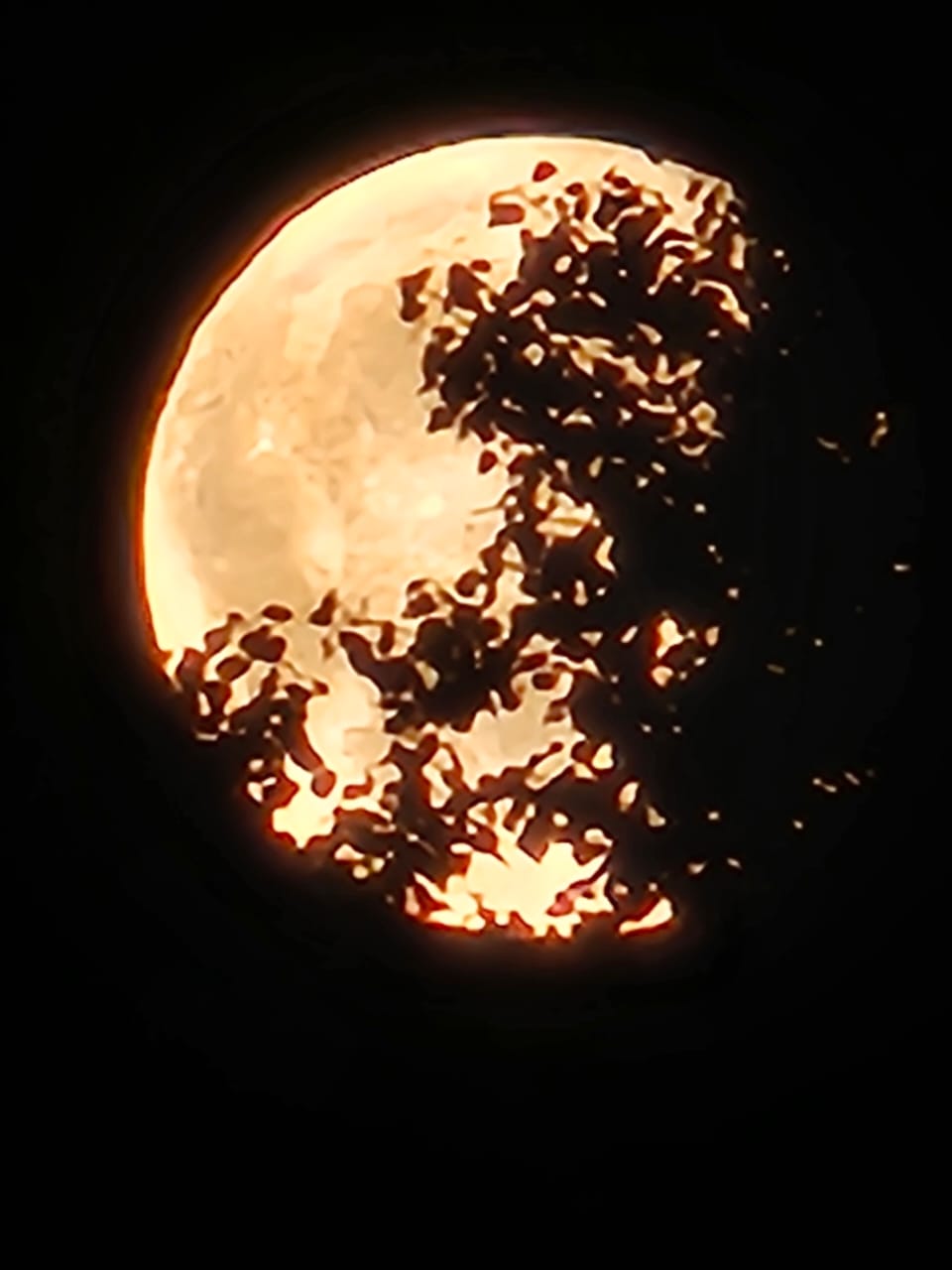 Трубчанам напомнили еще раз про лето