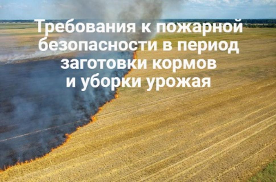Специалисты ОНДПР по Трубчевскому району сообщили о правилах пожарной безопасности в период уборки урожая