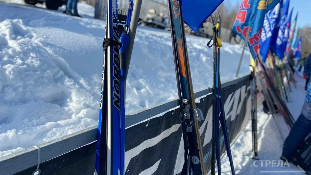 Брянец Николай Нехитров стал лучшим лыжным тренером 2025 года