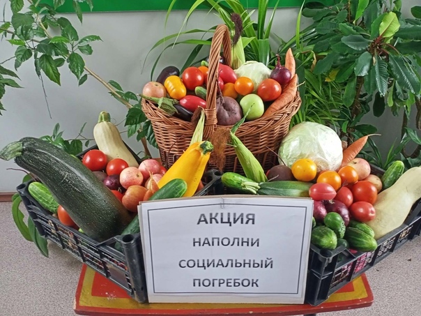 В Трубчевске стартовала акция «Наполни социальный погребок»