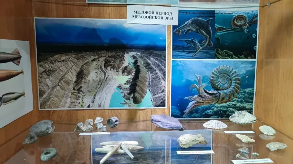 Открылся музей окаменелостей в Фокино