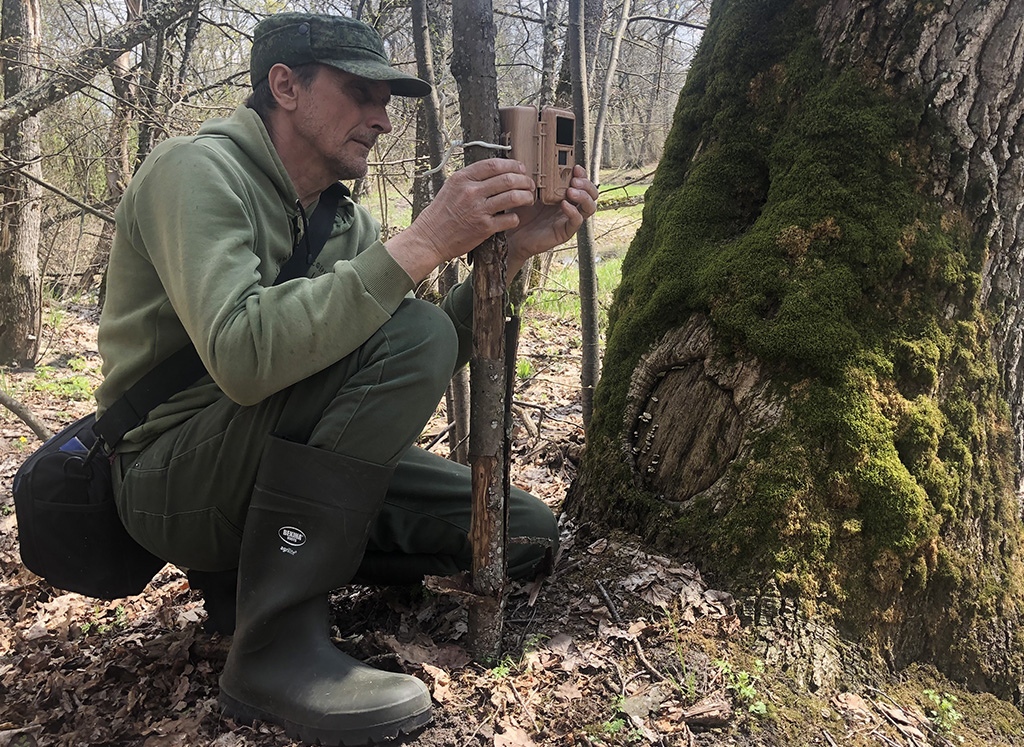 Чтобы животные жили