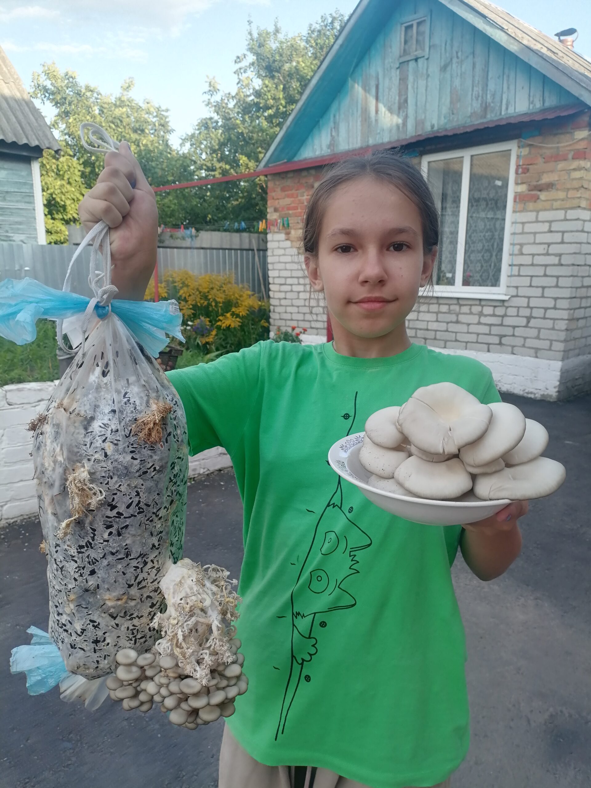 Домашняя грибница