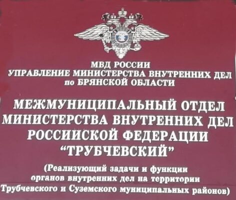 Трубчевские полицейские раскрыли кражу телефона