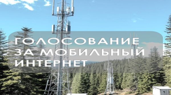 Жители Брянщины продолжают голосовать за населенные пункты для подключения к интернету в 2026 году