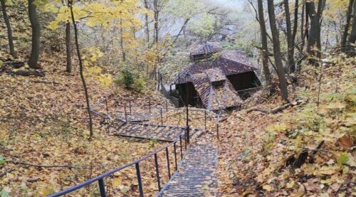 Трубчанам – о происшествии в городском парке