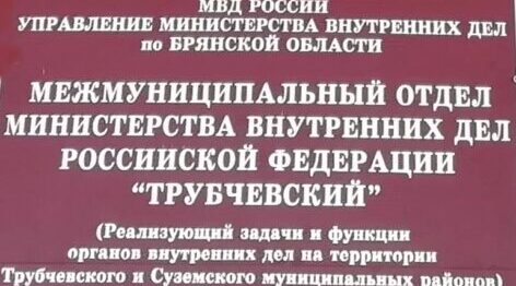 Трубчевские полицейские раскрыли кражу мобильного телефона