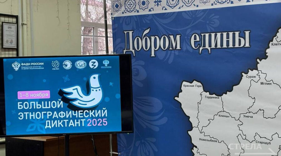 В «Брянсккниге» написали этнографический диктант