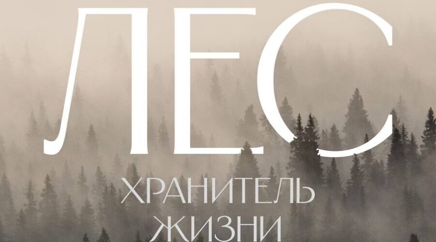 В трубчевском кинотеатре «Родина» покажут докфильм о первозданных лесах России