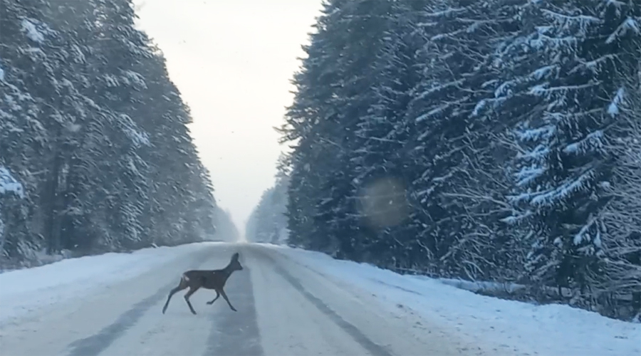 Дороги Жуковского округа Брянщины расчищают от снега