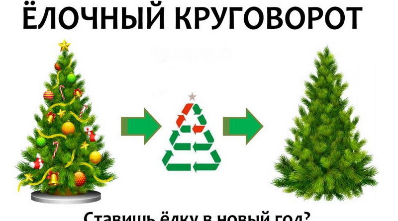 Трубчан приглашают принять участие в «Елочном круговороте»
