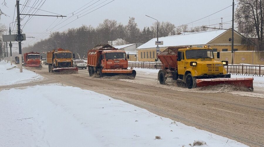 В Брянске борются с последствиями сильного снегопада