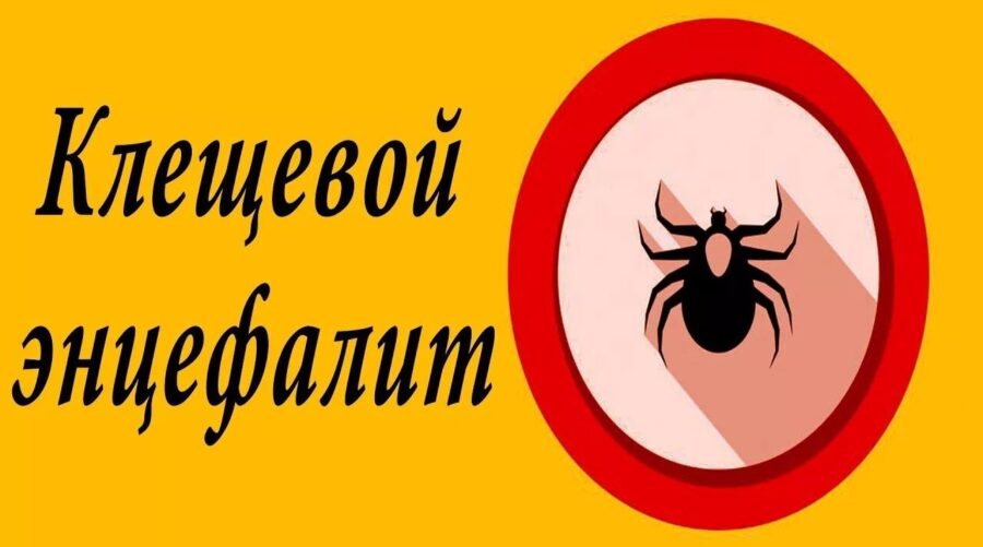 Специалисты Роспотребнадзора призывают жителей Трубчевского района быть осторожными на природе