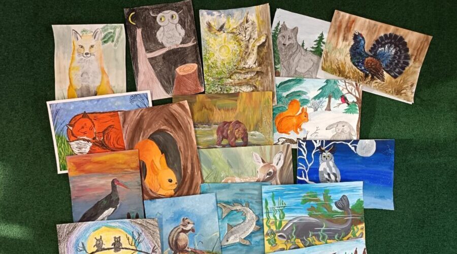 Юный трубчанин – в числе победителей конкурса заповедника «Брянский лес»