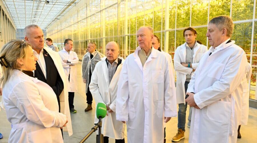 Брянский тепличный комбинат «Журиничи» активно развивается