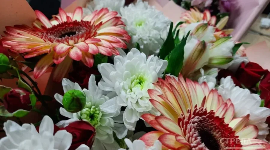 Жительнице Брянской области В. Путин присвоил звание «Мать-героиня»