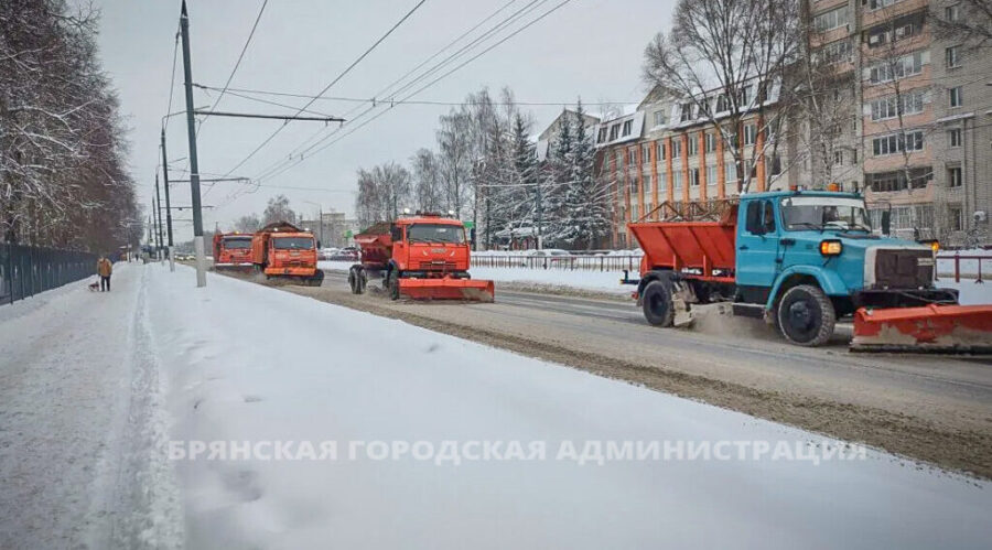 В Брянске с улиц вывезли более 4200 тонн снега